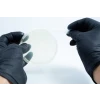 Agar petri dish MEA School Science Fun Project - Sealing