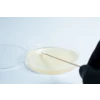 Agar petri dish MEA School Science Fun Project - innoculation