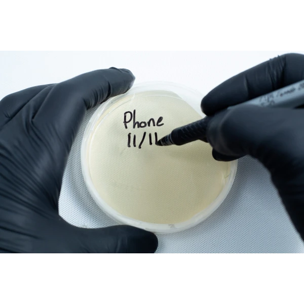 Agar petri dish MEA School Science Fun Project - labeling plate