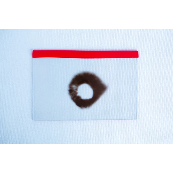 Glass Spore Print Slides booklet spores 12.8cm X 8.5cm x 1mm