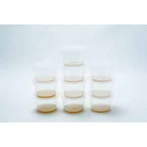10x Pre-poured MEA agar container