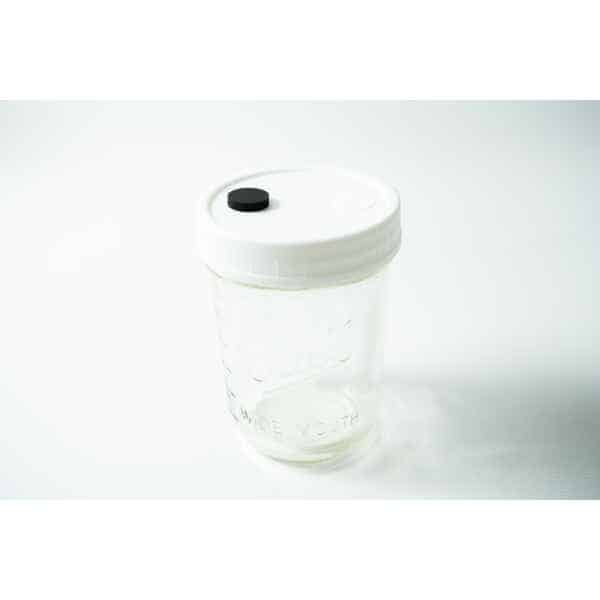 Mycology premade Wide Mouth with Mason Jar Lid white with inj port and air filter