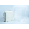 Paver Mycelium Mold Growth form –