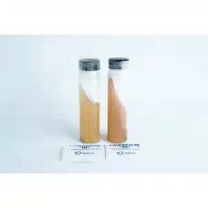 Two clear vials with black caps hold yellowish and reddish-brown liquids, each partly covered by a white film. In front sit two small pieces of Parafilm and Slants—Replacement for agar petri-dish—used for mushroom cultures.