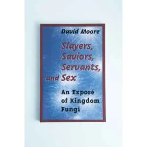 The image displays the cover of "Slayers, saviours, servants and sex: Book by David Moore," which features a blue background with light streaks and bold maroon and black text.