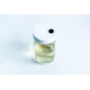 Uncolonised Jar top view Liquid culture