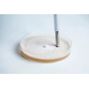 Start agar transfer with agar punching tool