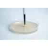 Transfer Agar with agar punching tool front view