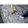 Sawdust innoculation tool with sawdust