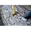 Sawdust innoculation tool with sawdust