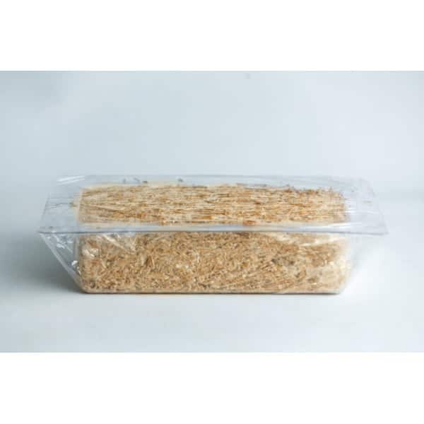 Hemp hurd growing in brick mold