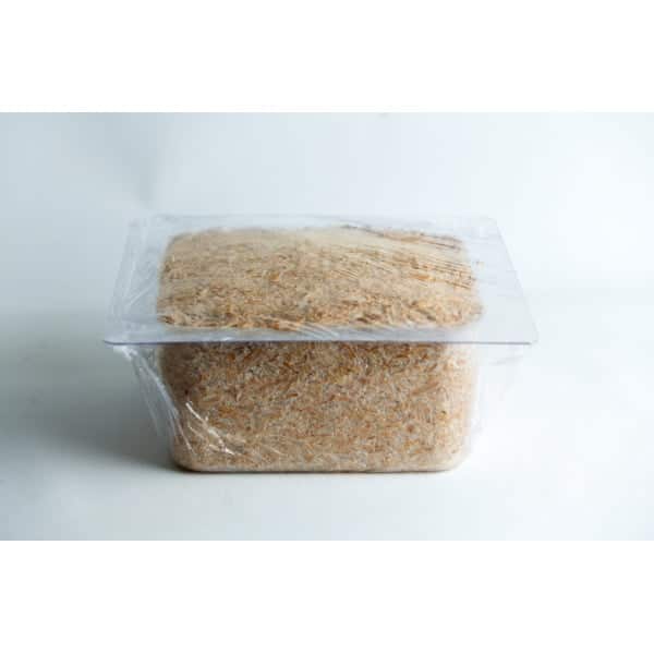 hemp-hurd plant pot growth in mold