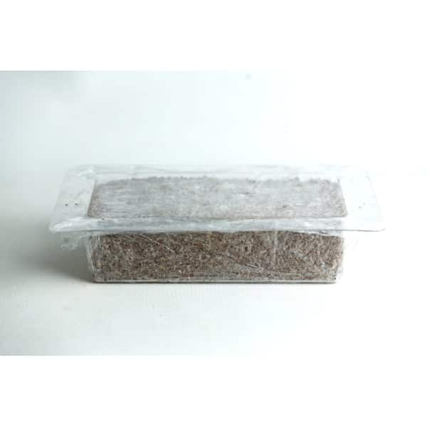 Sawdust and bran growing in brick mold