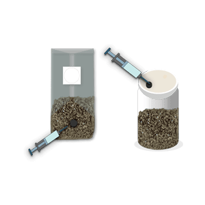 Make Grain Spawns- rootlab