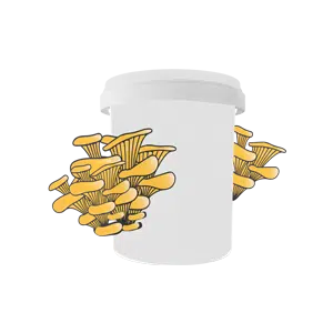 Mushroom in Bucket- rootlab