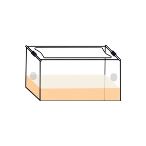 Mushrooms in Monotub- Rootlab