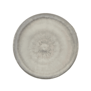 Colonised mushroom mycelium on agar plates White Elm