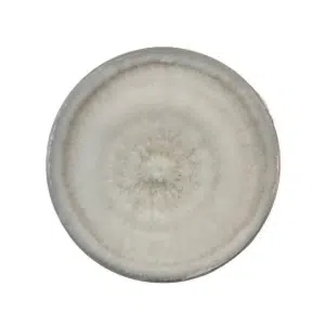 Colonised mushroom mycelium on agar plates White Elm