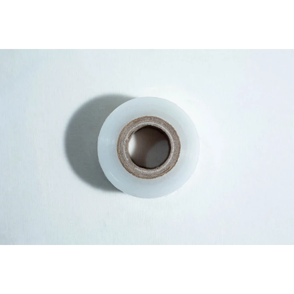 agar tape to seal petri dishes top view