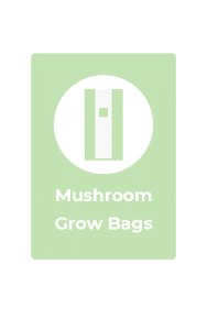 mushroom grow bags rootlab
