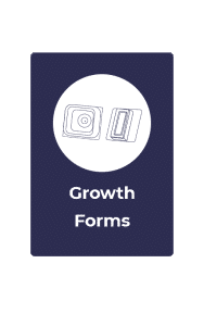 mushroom growth forms rootlab