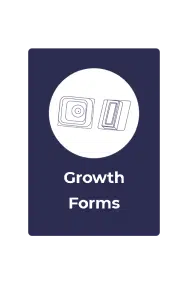 mushroom growth forms rootlab