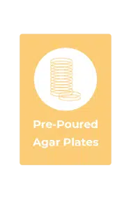 pre-poured agar plates rootlab mea mypa meag