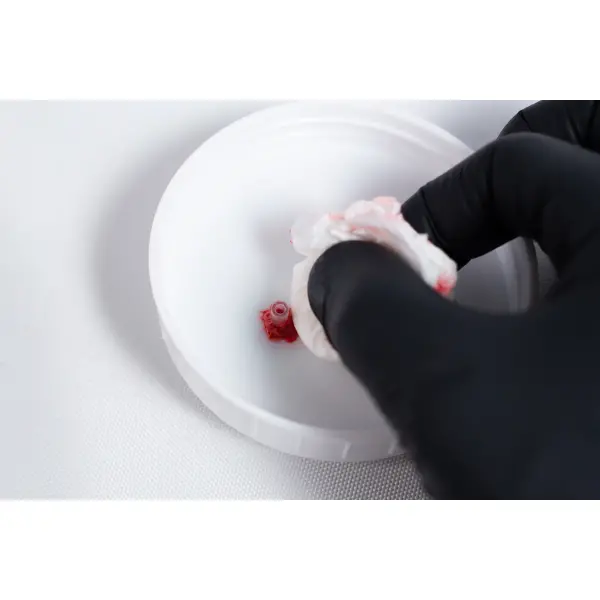 High Temperature RTV Silicon-Red - Image 5