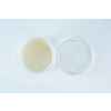 Biodegradable-agar-cups-inside1-viw