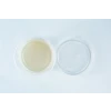 Biodegradable-agar-cups-inside1-viw