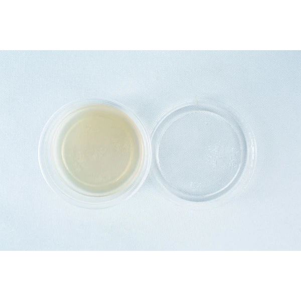 Biodegradable-agar-cups-inside1-viw