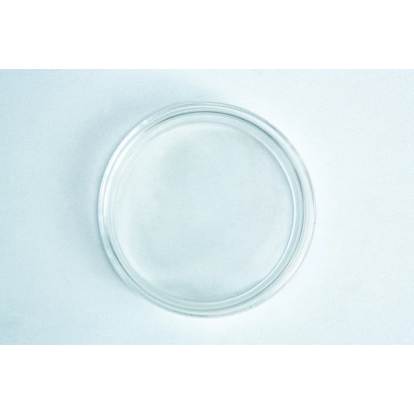 Single Glass Petri Dish