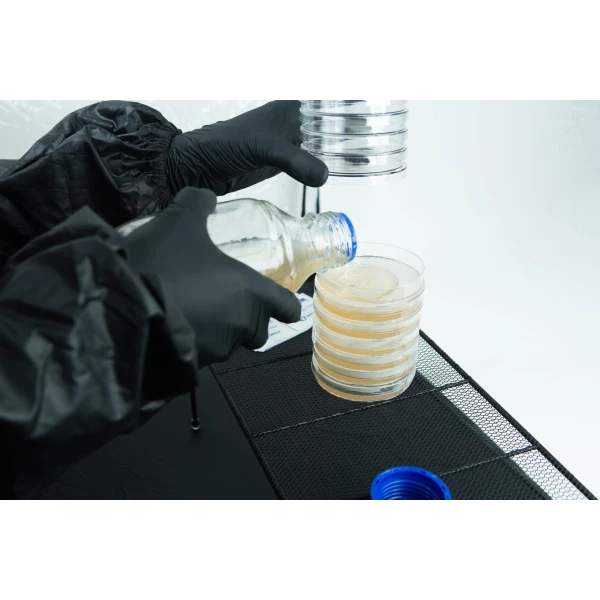 Making Agar Plates Inside Still Air Box
