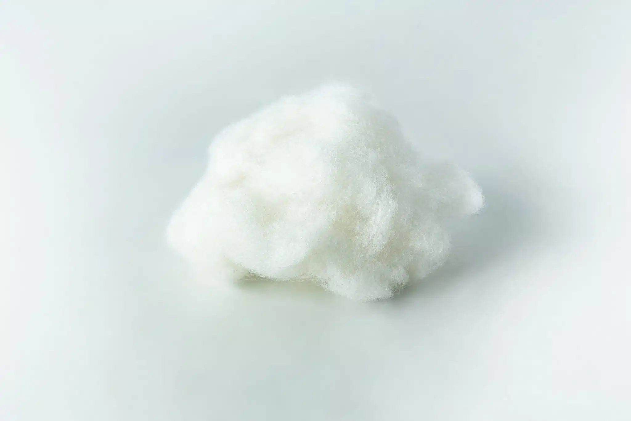 A small, fluffy ball of Polyfill fibre for Mycology sits on a light surface, casting a gentle shadow underneath.