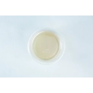 Biodegradable agar cups MEA/MEAG