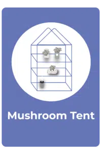 A diagram of a shelving unit styled as a tent, showcasing mushrooms growing in containers on three shelves, set on a blue background with the text “Mushroom Tent” below. Perfect inspiration for any Mushroom Supplies Shop or rootlab setup.