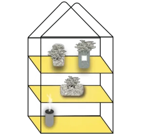 A simple illustration of a three-shelf greenhouse structure from rootlab. Each shelf holds a container with oyster mushrooms growing in various substrates, whilst the bottom shelf features a small humidifier emitting mist.