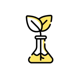 Plant tissue culture