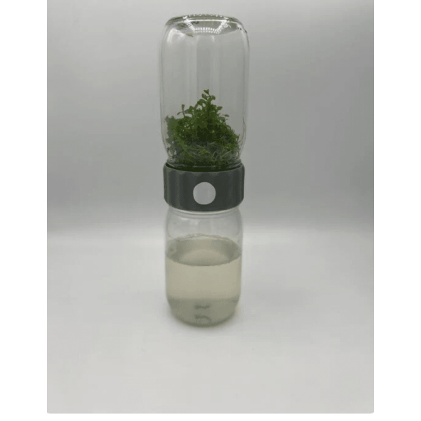 Plant Cell Biocoupler™ Glass Set 16oz, 12oz, 8oz - Image 4