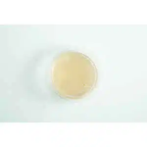 A Biodegradable Agar Cup (MEA | MEAG) containing a light beige, translucent liquid, seen from above on a white background.
