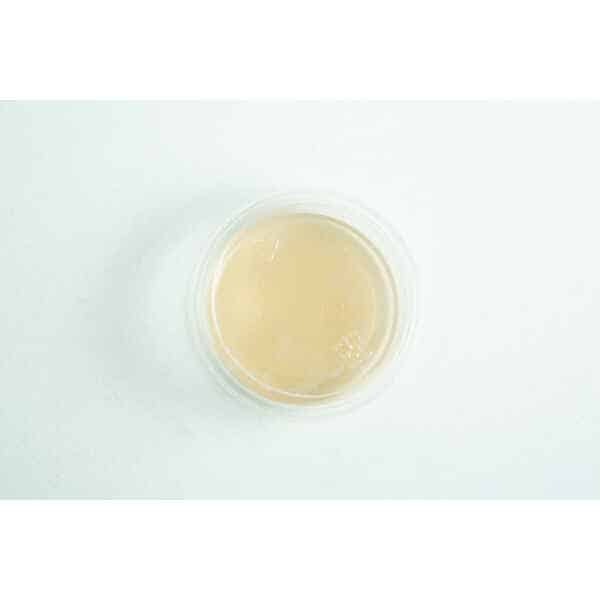 Biodegradabe Agar cup single up