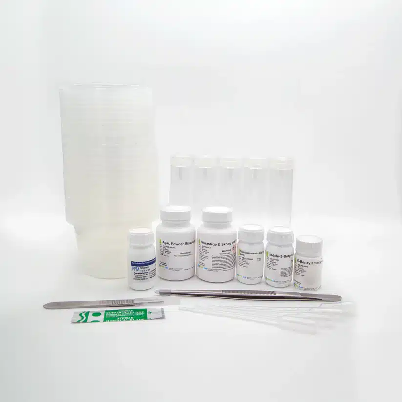 Plant Cell Tissue Culture Starter Kit 7 The Plant Cell Tissue Culture Starter Kit includes plastic cups, clear bottles, labelled medicine bottles, disposable droppers, a metal spatula, and a sterile alcohol pad—ideal for plant tissue culture experiments.