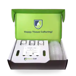 The Plant Cell Tissue Culture Starter Kit comes in a green and white box with the Plant Cell Technologies logo, containing bottles with white caps, clear Petri dishes, and an instruction cardโeverything needed to start tissue culturing.