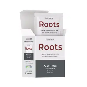 A white box labelled Plant Cell | Athena | Roots™ Tissue Culture Media Box of 10 contains individual sachets, each holding 7.50 mL—ideal for supporting healthy plant cell growth.