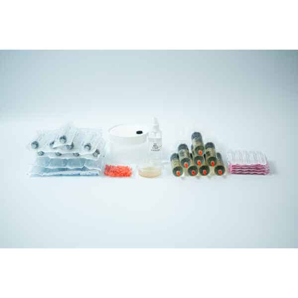 400 ml Liquid Culture expansion kit