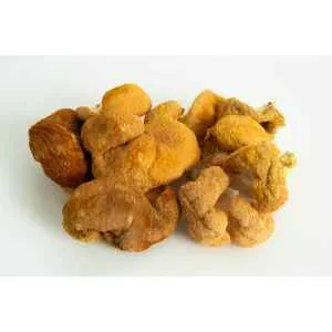A cluster of brown, hairy-textured mushrooms with irregular shapes sits on a white background.