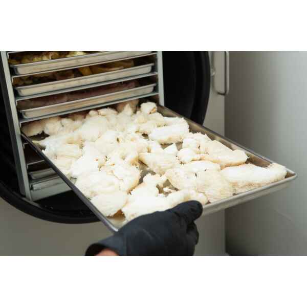 A gloved hand pulls a metal tray of white, fibrous pieces of food, possibly mushrooms, from a multi-shelf freeze drier. Several other trays are visible inside the machine.
