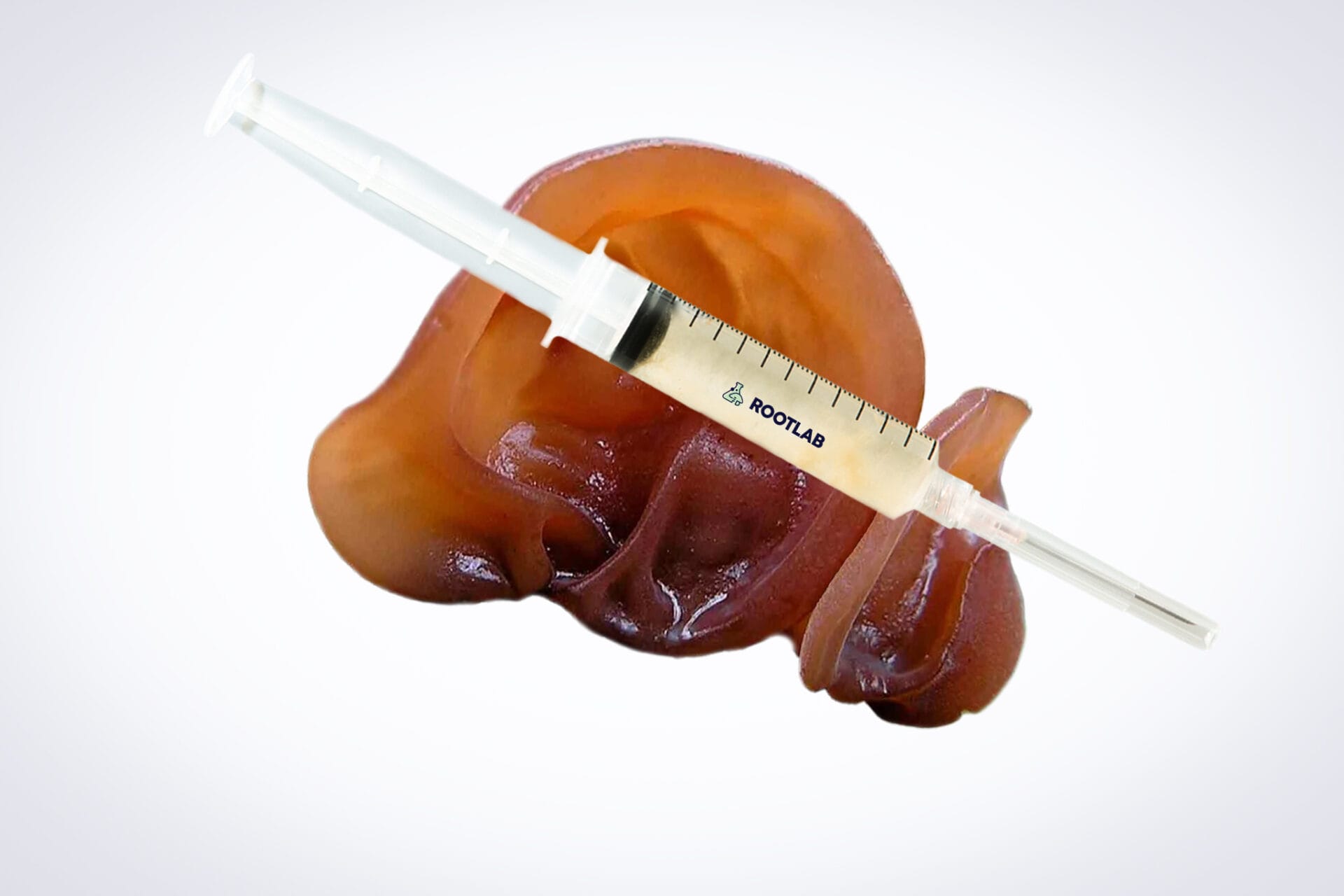 Mushroom Liquid Culture | Wood Ear | Auricularia auricula-judae 1 A syringe filled with Mushroom Liquid Culture | Wood Ear | Auricularia auricula-judae is placed on an artificial human liver model, set against a plain white background.