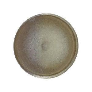 The Colonised Mushroom Culture On Agar Plate | Pink Oyster | Pleurotus djamor features a gradient ceramic plate, with a light greyish-beige centre and darker rim, offering a smooth matt surface that highlights the beauty of Pleurotus djamor.