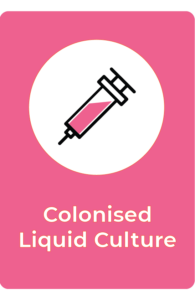 A graphic of a syringe filled with pink liquid is centred in a white circle on a pink background. Below the syringe, bold cream-coloured text reads Colonised Liquid Culture, highlighting this rootlab Mushroom Supplies Store essential.